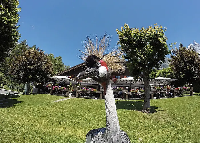 Le Castel Hotel Chamonix Mont Blanc