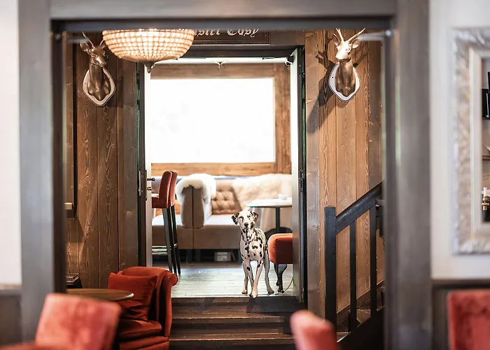 Hotel Le Castel